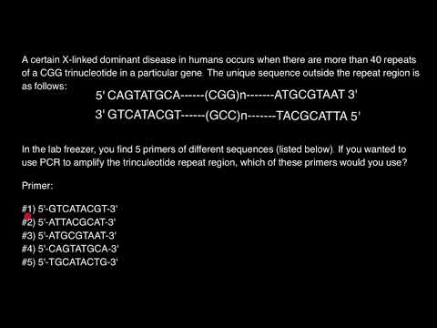 วีดีโอ: เส้นใยใดจะใช้ไพรเมอร์ RNA มากกว่ากัน