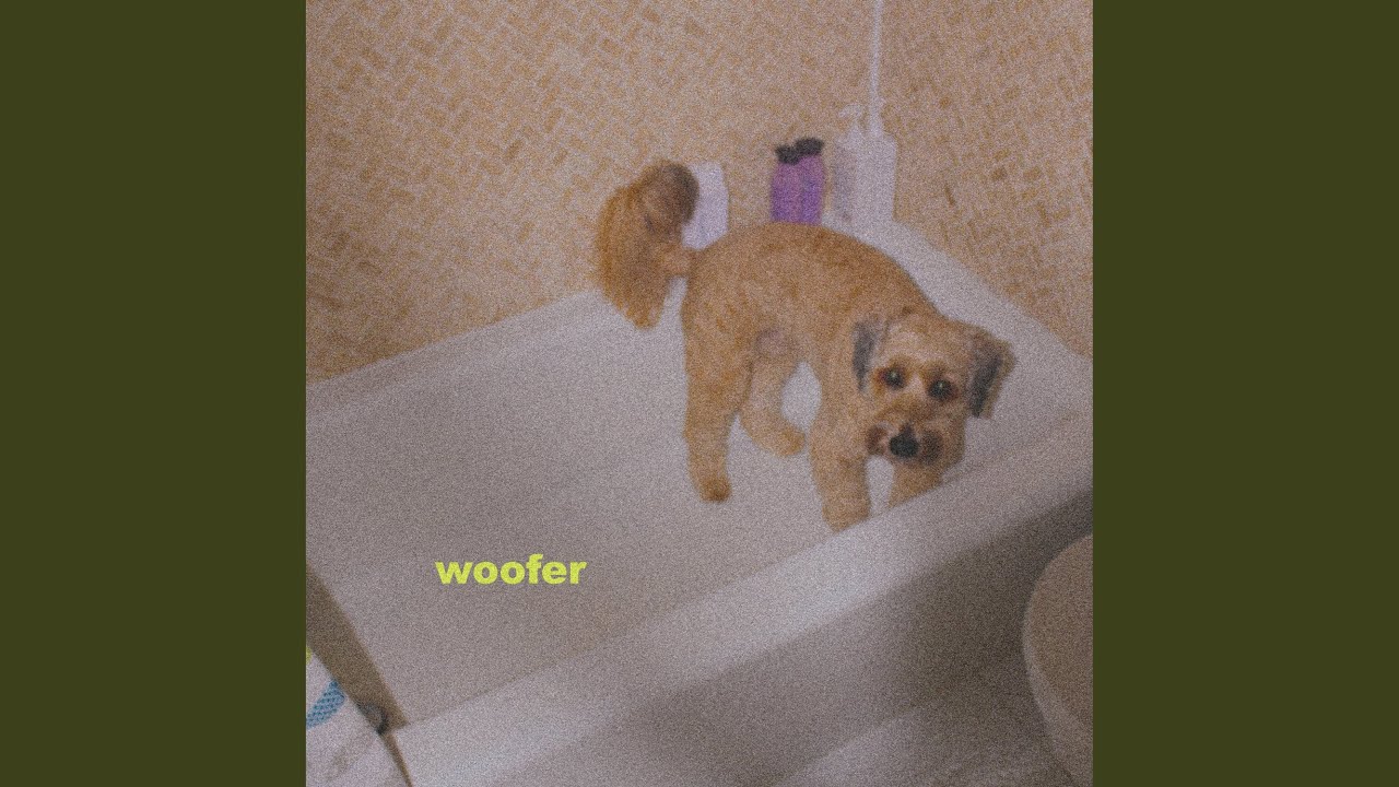 Watch woofer on YouTube Watch woofer on YouTube