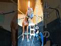 トゥルボーの秘密とは… #tcc引退競走馬ファンクラブ #馬 　#引退競走馬　#horse