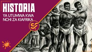 Historia Ya Utwamwa Kwa Nchi Za Kiafrica, Watumwa Walivyonyanyaswa