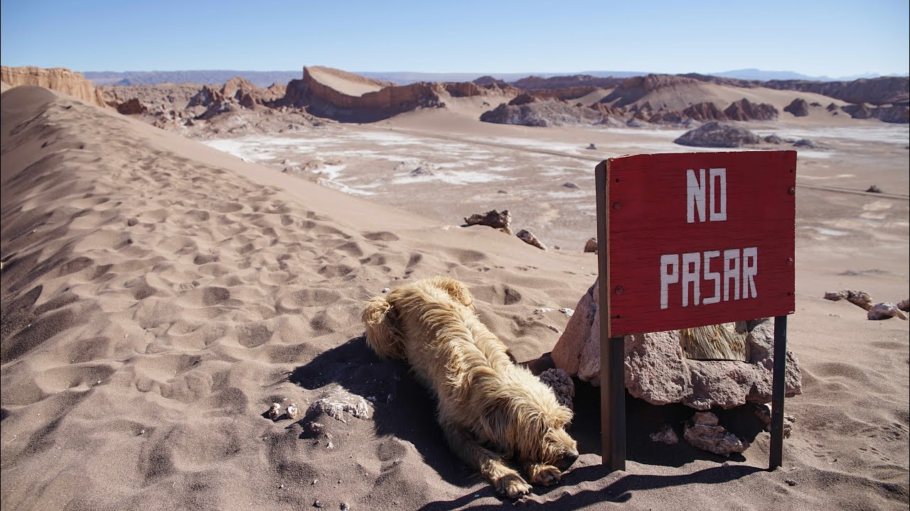 Moon Valley | San Pedro de Atacama