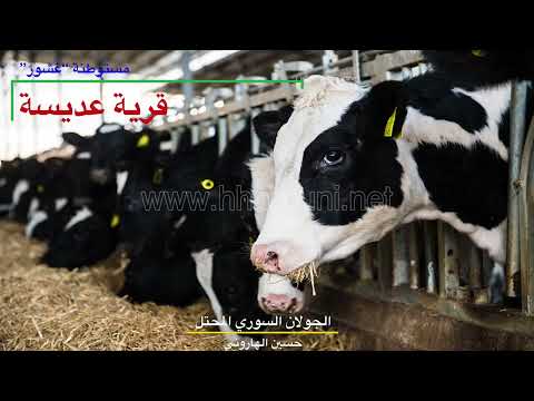 قرية عديسة مستوطنة غشور الجولان السوري المحتل