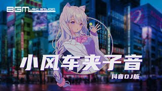 小风车夹子音 【抖音DJ版】- DJ文意 (抖音bgm)