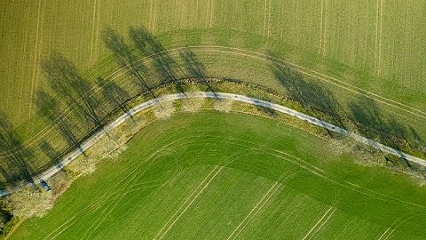 Decarbonization, a way to future proof your company