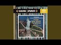 Miniature de la vidéo de la chanson Symphony No. 9 In E Minor, Op. 95 “From The New World”: Iv. Allegro Con Fuoco