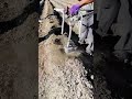 sophisticated agricultural tools for making soil planting holes #shorts