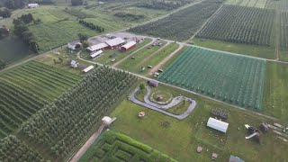 York County farm experiences 'corn sweat' and rapid growth amidst heatwave