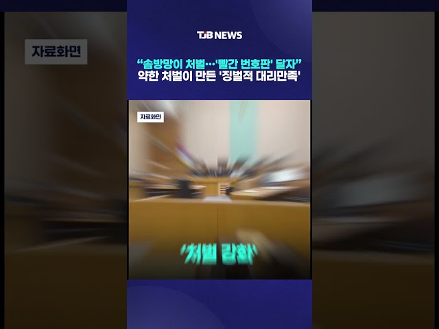 "솜방망이 처벌…'빨간 번호판' 달자" 약한 처벌이 만든 '징벌적 대리만족'｜ TJB 대전·세종·충남뉴스