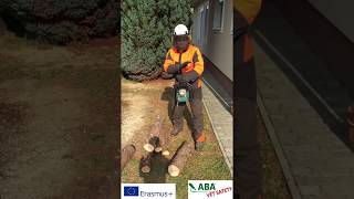 VET SAFETY - chainsaw position to avoid kickback by Pandokrator