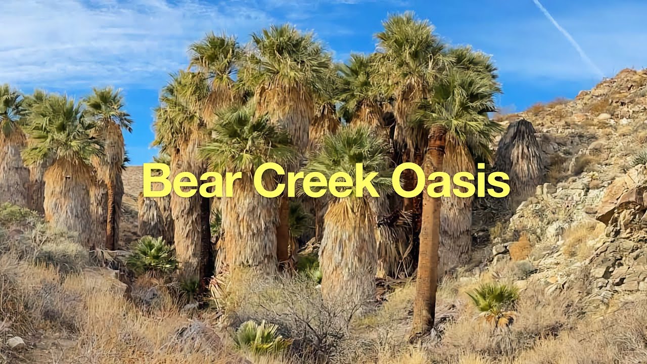 Bear Creek Oasis Trail Guide YouTube