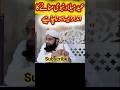 how should eid milad un nabvi be celebrated?# mufti soban attari# viral short