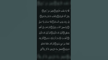 سورة القيامة بصوت القارئ ياسر الدوسري