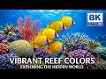 8K Aquarium Ultra HD – Colorful Coral Reefs &amp; Tropical Fish with Relaxing Ocean Music