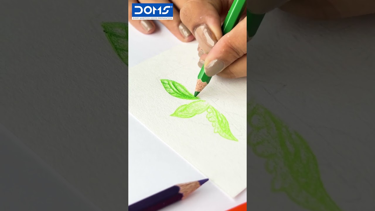 Unlock Your Creative Potential with DOMS 24 Vibrant Pencil Colors!