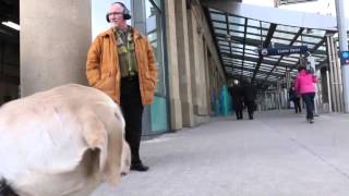 In accessibility Calgary