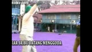malu malu kucing