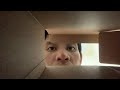 Focus on Me The trigger is very close - FAST and AGGRESSIVE ASMR