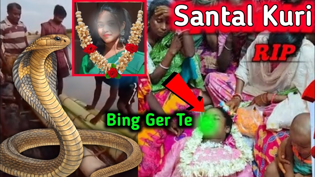 🐍 Bing Ger te Santhal Kuri Goj nai 😭 R Gada Dah reku Bhasao Kidiya 😱Adi Hahara Ghotona