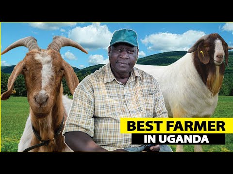 Best Farmer In Uganda Retired Headteacher Making Millions On His 200 Acre Farm Agro Tourism 