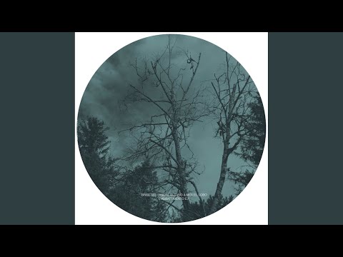 Andre Butano — Divinity