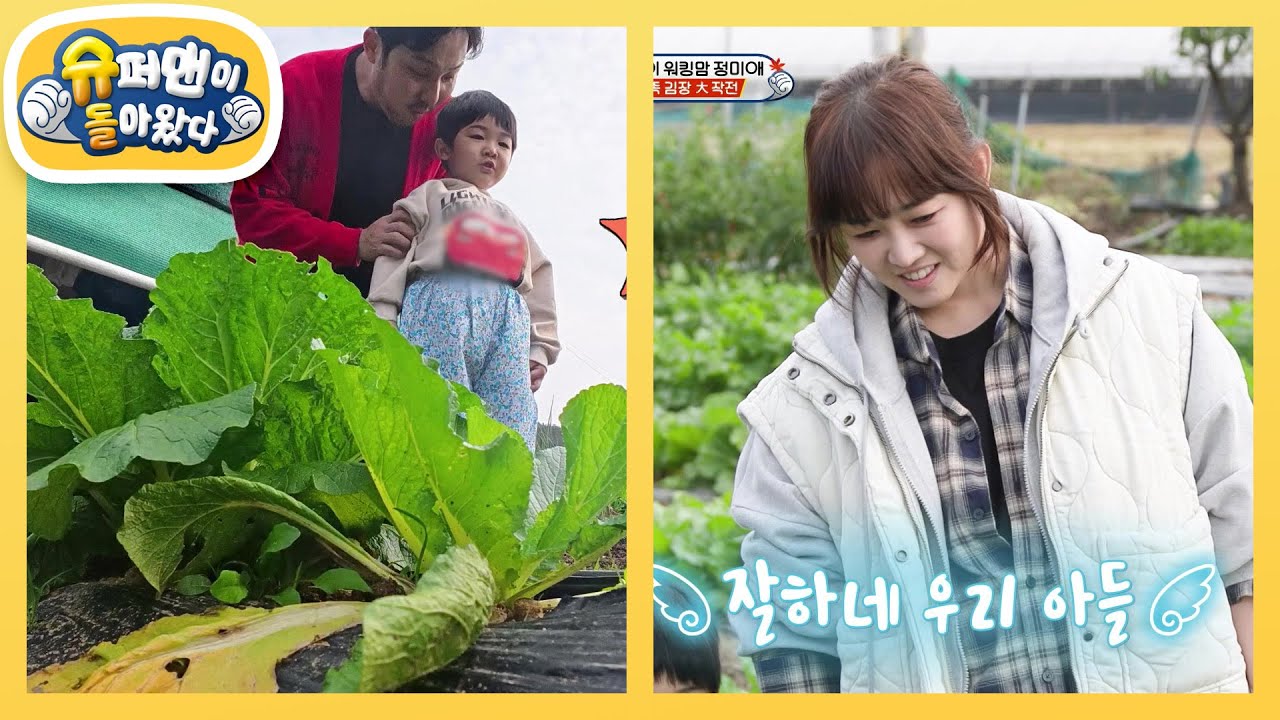 [정미애네] 엄마 고향 대구 텃밭에 총출동한 大 가족~♥ 4남매, 일바지 쇼쇼쇼!! [슈퍼맨이 돌아왔다/The Return of Superman] | KBS 241204 방송