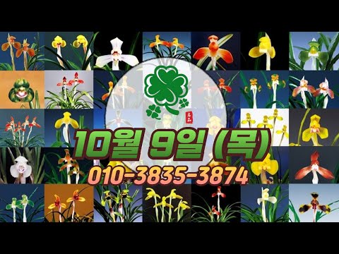 유튜브 썸네일
