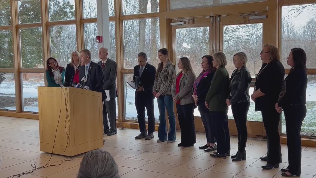 Officials discuss DuPage sheriff’s refusal to enforce assault weapons ban