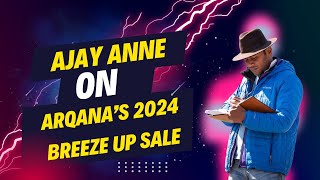 The BEST Horses At The 2024 Arqana Breeze Up Sale