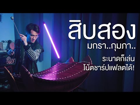 เพลง สิบสอง (มกรา กุมภา) | ระนาดเอก cover | Fino the Ranad