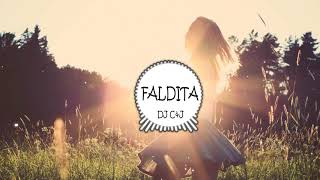 Faldita - Leslie Shaw, Mau y Ricky - DJ C&J (Disco)