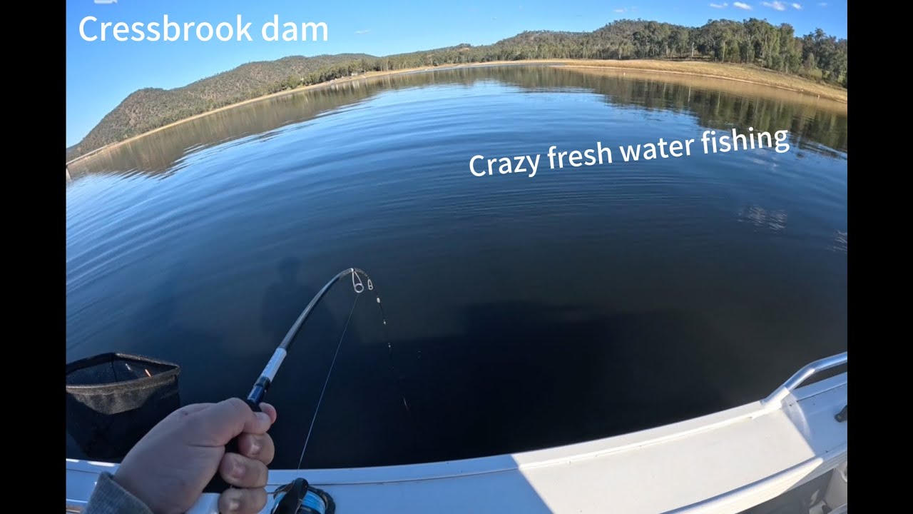 Bass fishing with ultralight tackle ..￼ .pb fish