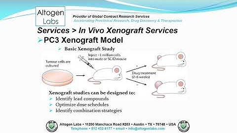 Altogen Labs PC3 Xenograft Service Prostate Cancer