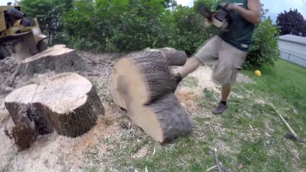 stump grinder rental guelph Tree Work - GoPro Style - Slow Motion (GoPro Hero 4 @1080p 30fps and 120fps)