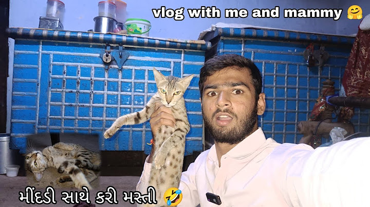 મીંદડી સાથે કરી લીધી મસ્તી🤣// આજે મારો જન્મદિવસ છે🎂#dipakahirvlog #vlog