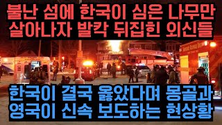 불난 섬에 한국이 심은 나무만 살아나자 발칵 뒤집힌 외신들 “한국이 수많은 목숨 구할 것이다” 한국이 결국 옳았다며 몽골과 영국이 신속 보도하는 현상황