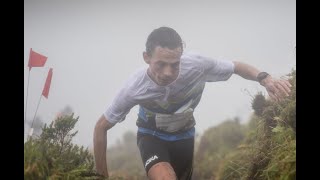 Golden Trail Championship - Azores Trail Run / Stage 3 RECAP 2MIN