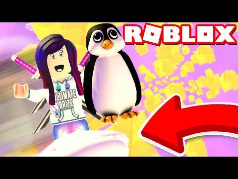 We Went To The Moon And Got Moon Pets Roblox Dashing Simulator Youtube - roblox heaven simulator get million robux