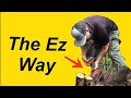 100% Absolutely The EASIEST WAY to Remove Bushes &amp; Shrubs | With What Tool? You&#39;ll Never Guess !