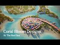 Coral bloom designs at the red sea