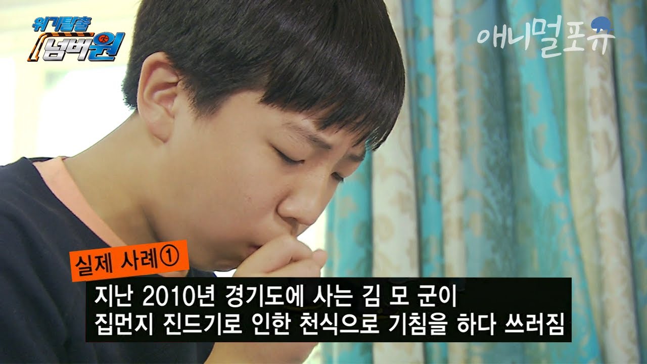 집 먼지 진드기로 기침을 하다가 사망😰?! 겨울 코트에서도 살아남는 진드기 박멸하는 법 | KBS 위기탈출 넘버원 121126 방송