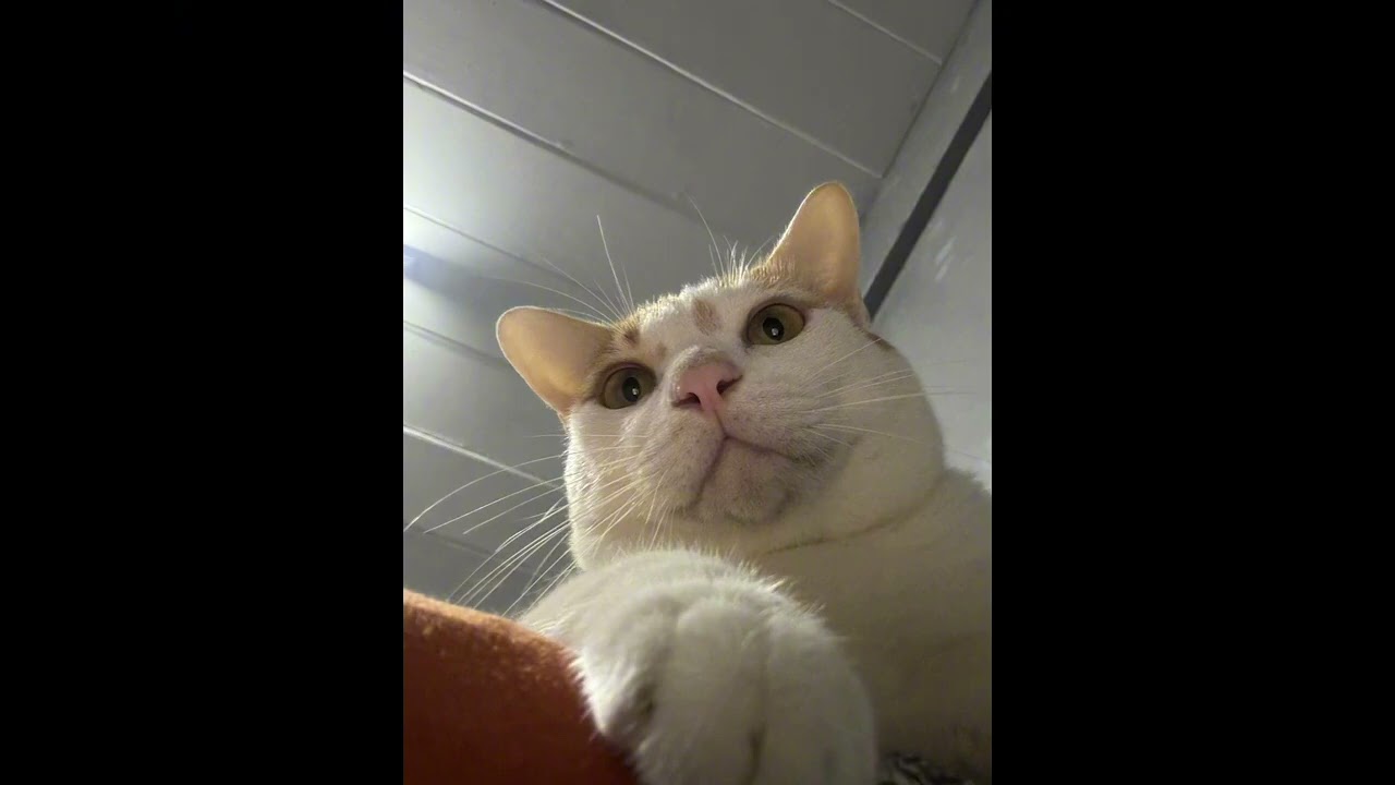 จะไปก็แค่บอก (Just say it) - appjs