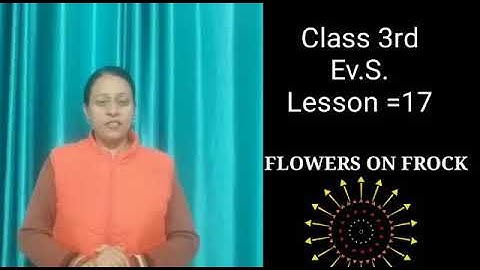 EVS Class 3Ch 17(V1)