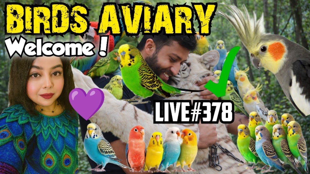 ANIMAL LOVER OF PAKISTAN is live!