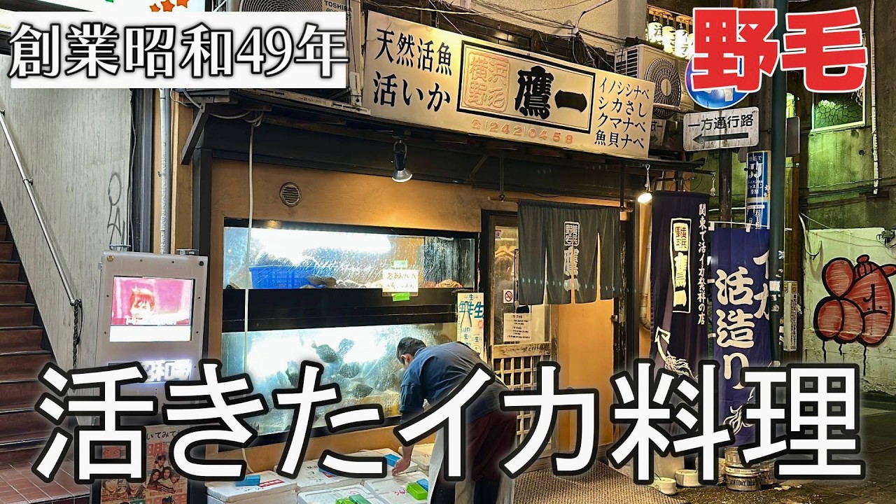 【野毛】昭和49年創業｜活きたまま捌く透明すぎる活いか｜活魚料理 鷹一