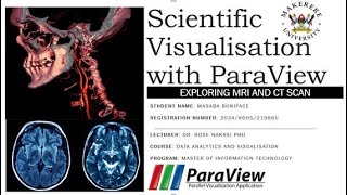 Scientific Visualisation with Paraview