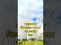 জাহান্নামের ভিতরে দুর্গন্ধযুক্ত গাছ আছে📢📢 #viral #trending #educational #ytshorts #islamicshorts