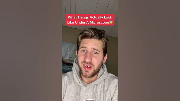 WHAT THINGS LOOK LIKE UNDER A MICROSCOPE - SKIT/STORY #Shorts