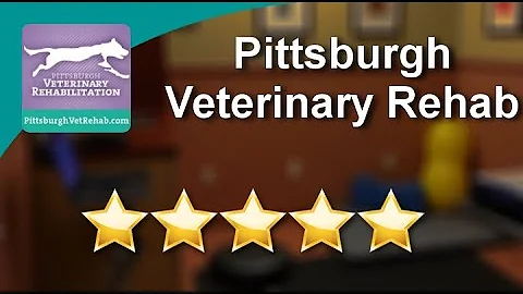 Pittsburgh Veterinary Rehabilitation Monroeville - Terrific Five Star Review by Jenny B.