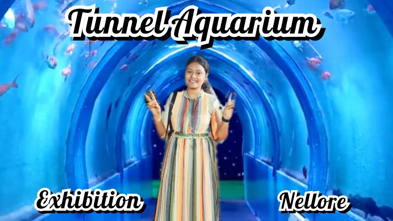 First Tunnel Aquarium in nellore/big exhibition 2022 /Nellore vlogs