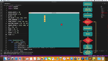 Python小游戏开发——贪吃蛇（三）